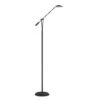 Lahoya Floor Lamp