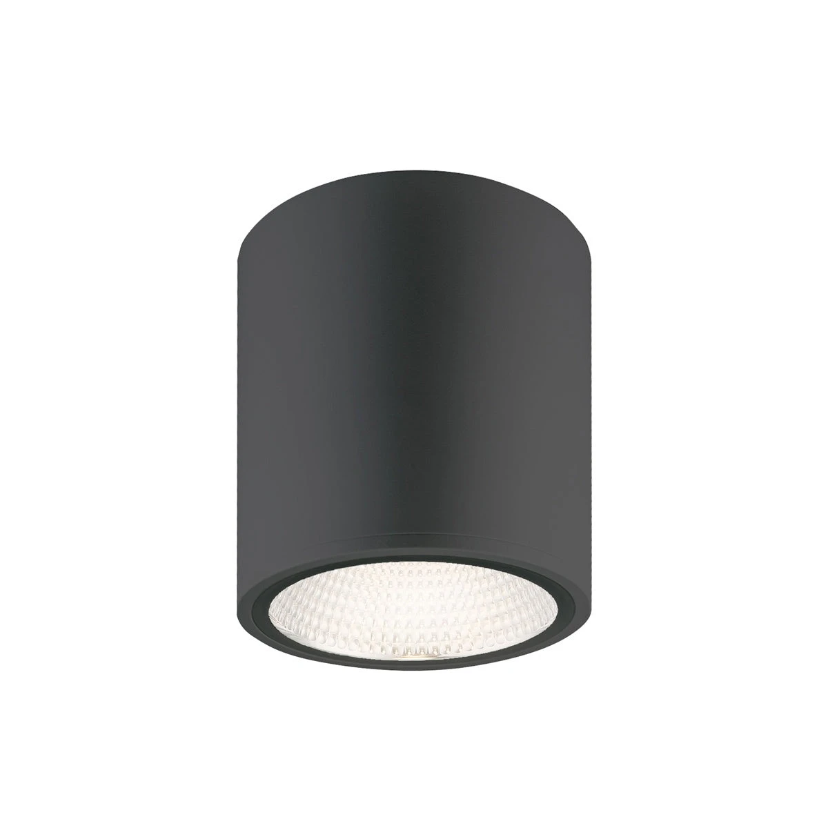 Cask Flush Mount - Image 2