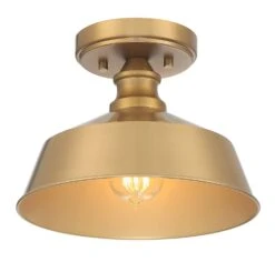 One Light Semi Flush Mount M60068NB