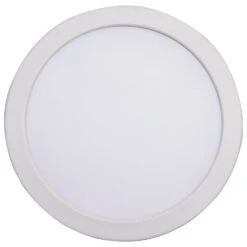 LED Downlight S11866