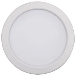 LED Downlight S11868