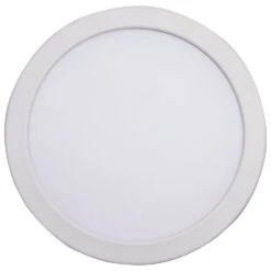 LED Downlight S11869