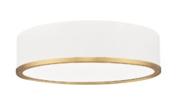 Z-LIte Bradley Flush Mount