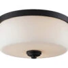 Z-LIte Arlington Flush Mount