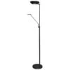 Dainolite 3-lights 33w Black Mother And Son LED Floor Lamp